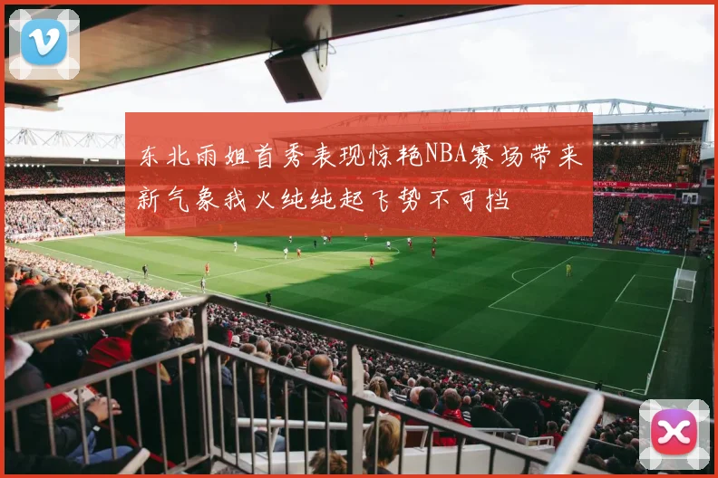 东北雨姐首秀表现惊艳NBA赛场带来新气象我火纯纯起飞势不可挡