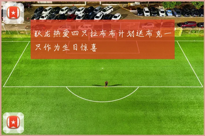 狄龙热爱四只拉布布计划送布克一只作为生日惊喜