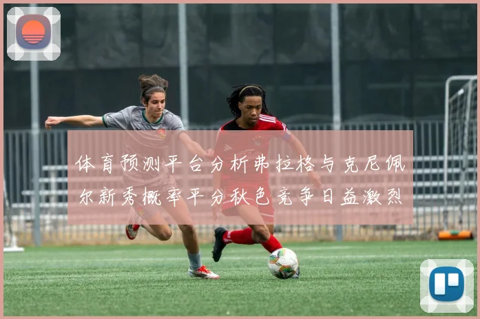 体育预测平台分析弗拉格与克尼佩尔新秀概率平分秋色竞争日益激烈