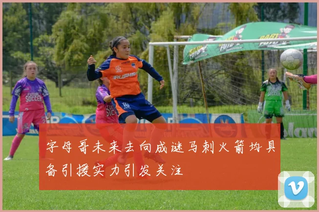 字母哥未来去向成谜马刺火箭均具备引援实力引发关注