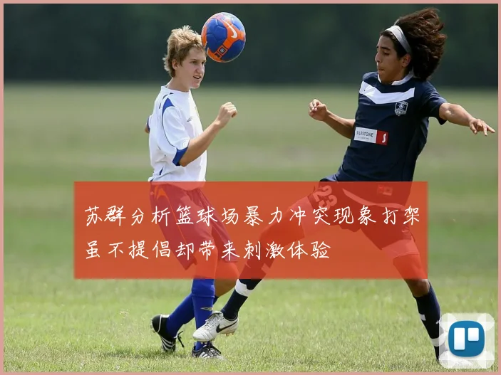 苏群分析篮球场暴力冲突现象打架虽不提倡却带来刺激体验