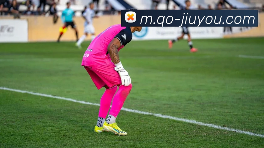 九游体育服务体系